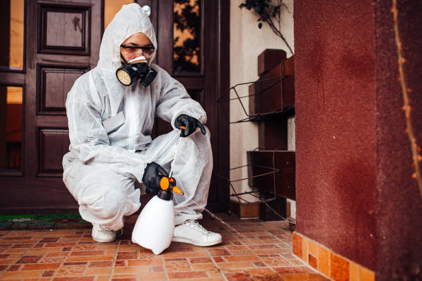 Attic and Crawl Space Rodent Treatment in Pacific City